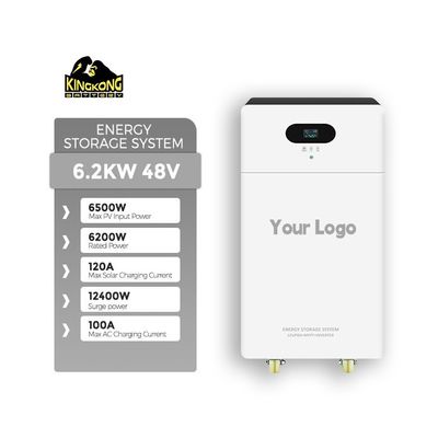 3اینورتر خورشیدی سیلیکون تک کریستال با دو خروجی 6KW با باتری لیتیوم 24V 100Ah